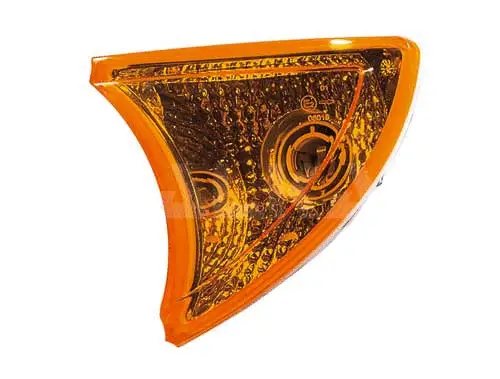 Direction Indicator (9642248)