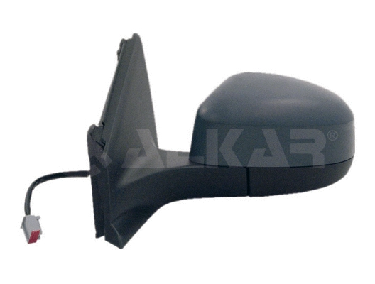 Exterior Mirror (6141376)