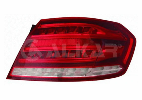 Tail Light Assembly (2032561)