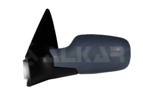 Exterior Mirror (6139228)