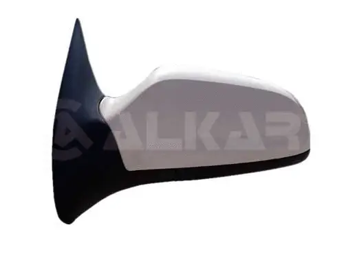 Exterior Mirror (6139439)