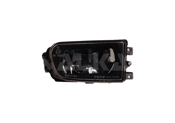 Front Fog Light (2912845)