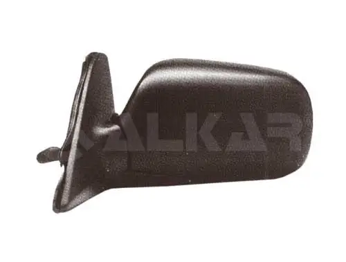 Exterior Mirror (6165262)