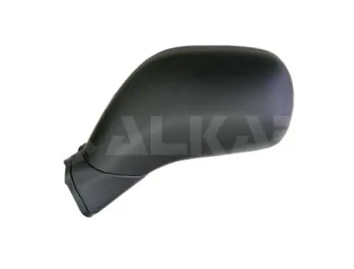 Exterior Mirror (6101427)