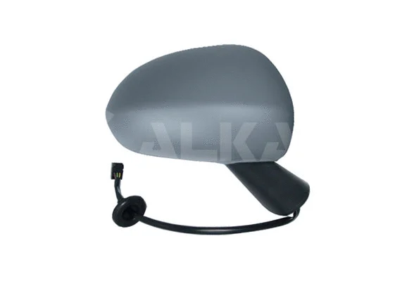 Exterior Mirror (6142424)
