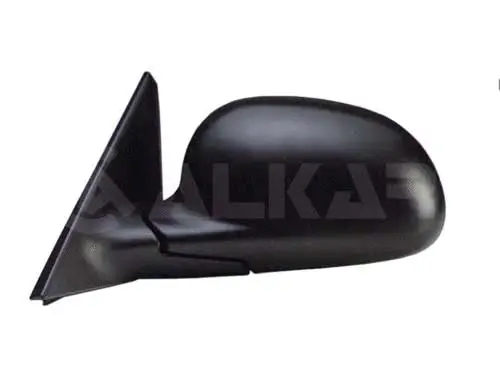 Exterior Mirror (6128412)