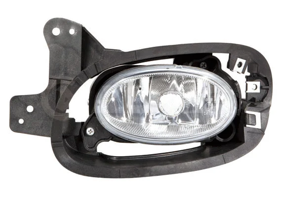 Front Fog Light (2901944)