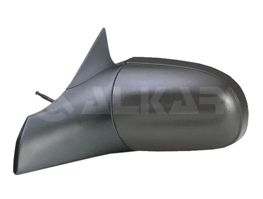 Exterior Mirror (6101417)