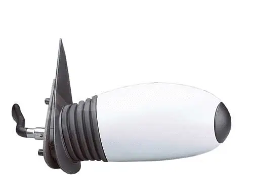 Exterior Mirror (6164011)