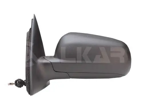 Exterior Mirror (6164069)