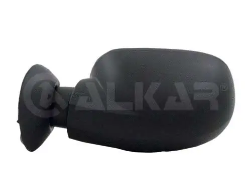 Exterior Mirror (6109590)
