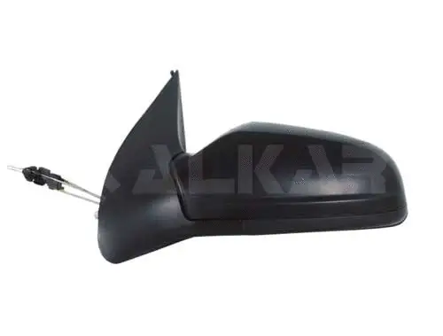 Exterior Mirror (6164438)