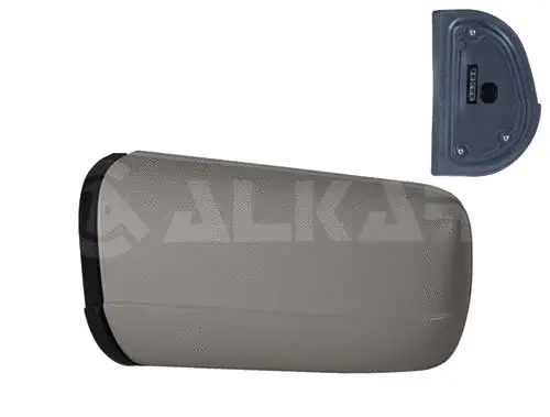 Exterior Mirror (6127540)
