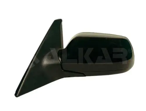 Exterior Mirror (6125906)