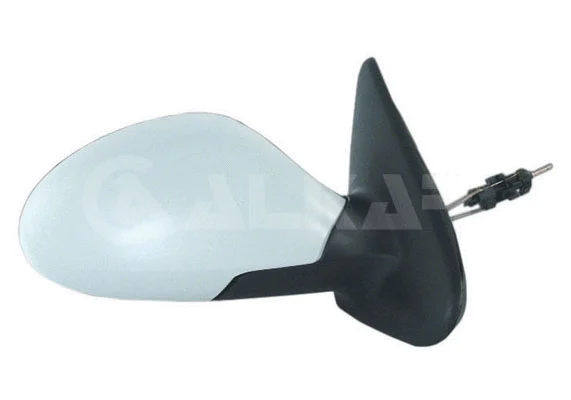 Exterior Mirror (6138097)