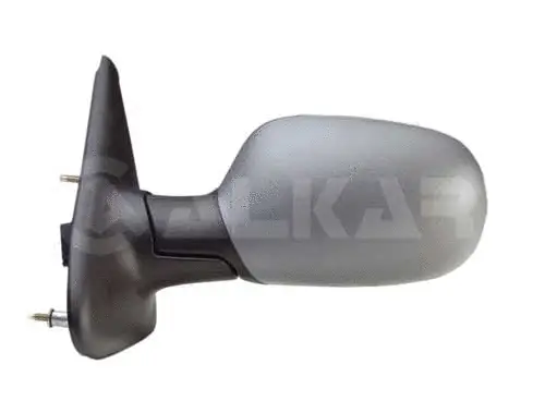 Exterior Mirror (6127219)