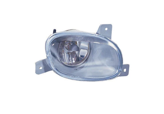 Front Fog Light (2906513)