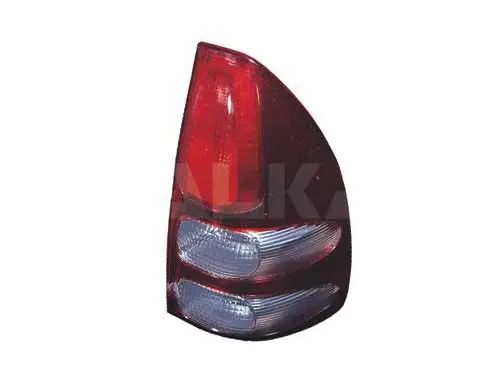 Tail Light Assembly (2201032)