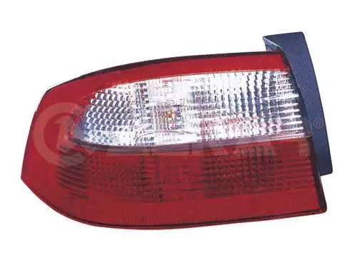 Tail Light Assembly (2201229)