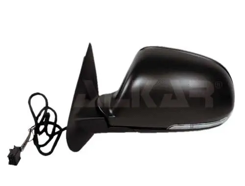 Exterior Mirror (6145572)