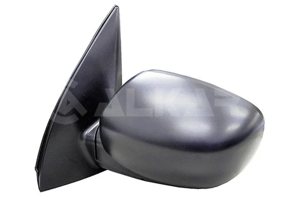 Exterior Mirror (6125617)