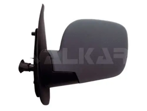 Exterior Mirror (9237160)