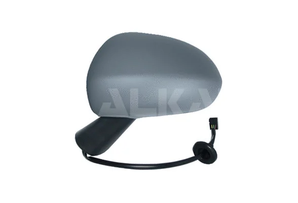 Exterior Mirror (6139424)