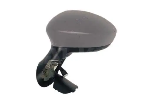 Exterior Mirror (6112547)