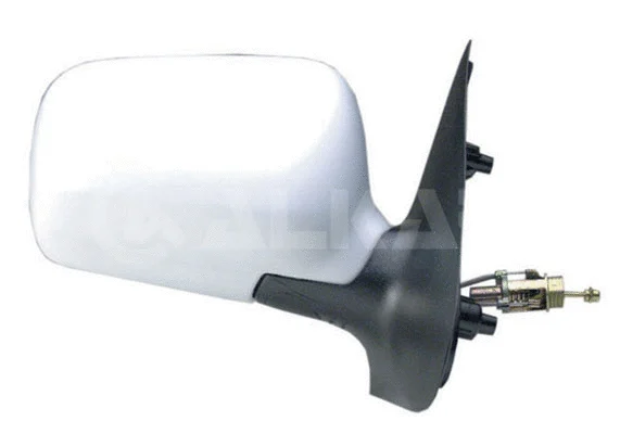 Exterior Mirror (6165108)