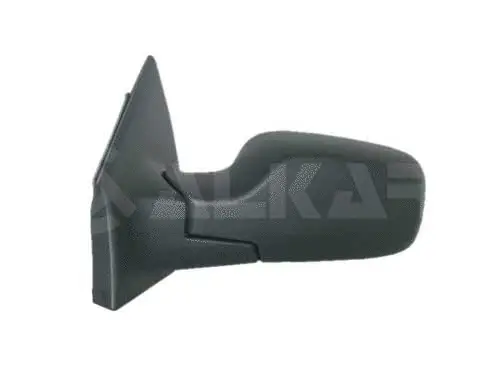 Exterior Mirror (6121175)