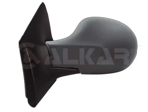 Exterior Mirror (6125171)