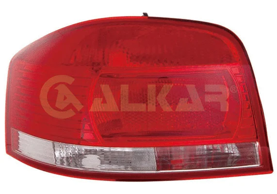 Tail Light Assembly (2221500)