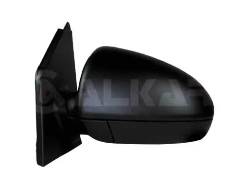 Exterior Mirror (6139009)