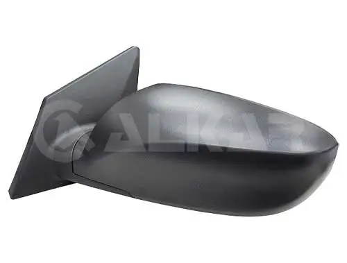 Exterior Mirror (9024584)