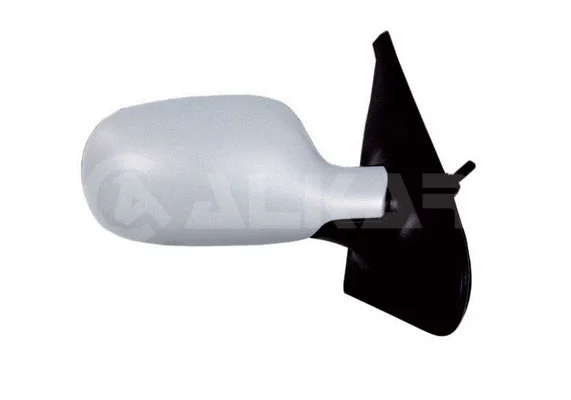 Exterior Mirror (6140173)