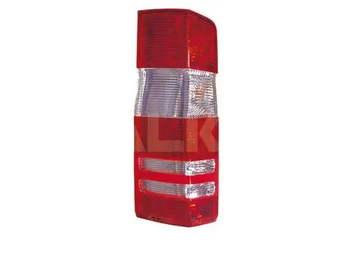 Tail Light Assembly (2221966)