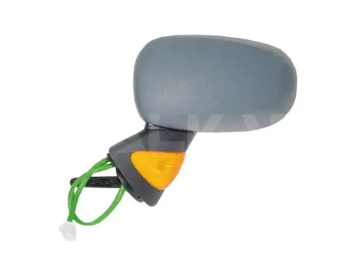 Exterior Mirror (6131170)