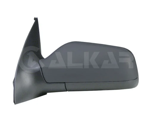 Exterior Mirror (6155437)