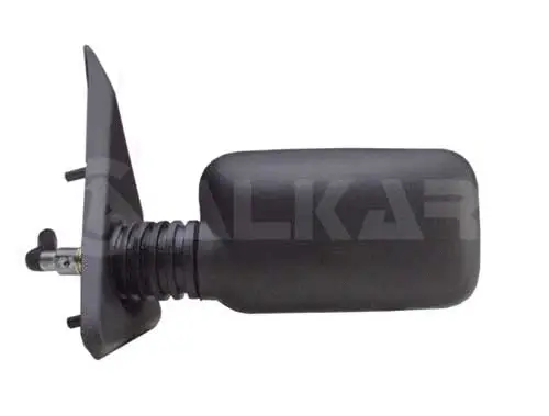 Exterior Mirror (6164013)