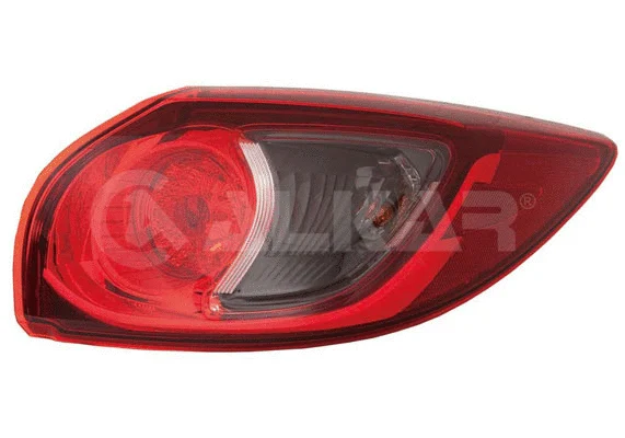 Tail Light Assembly (2242906)