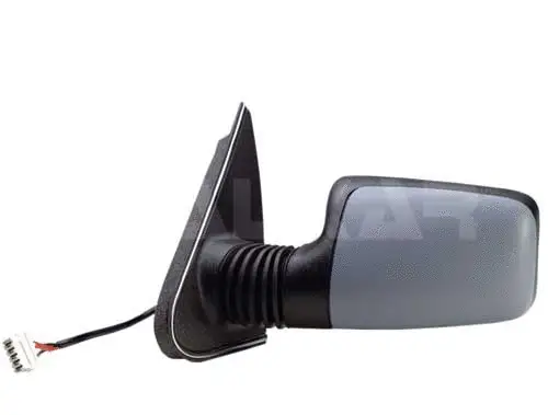 Exterior Mirror (6125289)