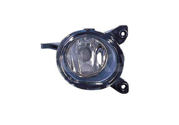 Front Fog Light (2902264)