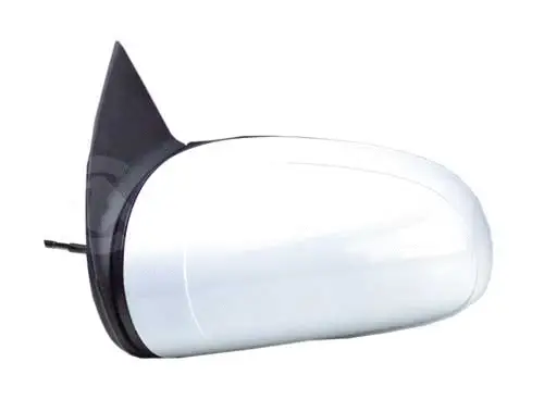 Exterior Mirror (6164419)