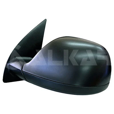 Exterior Mirror (6101948)