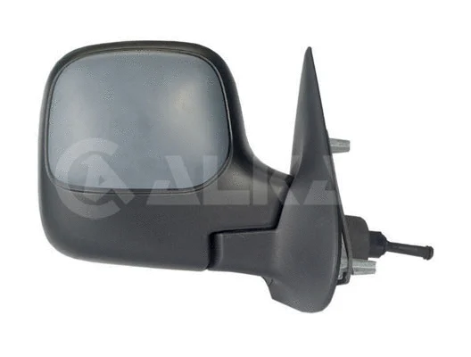 Exterior Mirror (9254974)