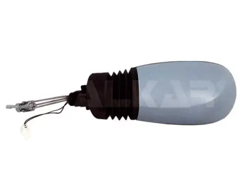 Exterior Mirror (6166349)