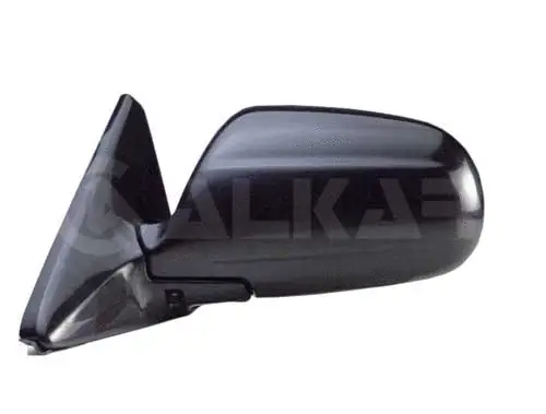 Exterior Mirror (6128407)