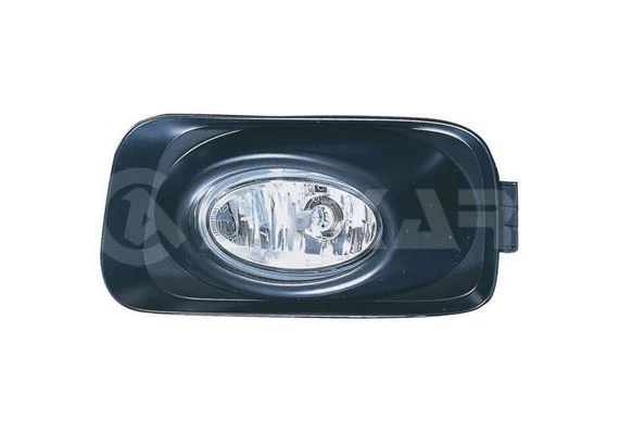 Front Fog Light (2905410)