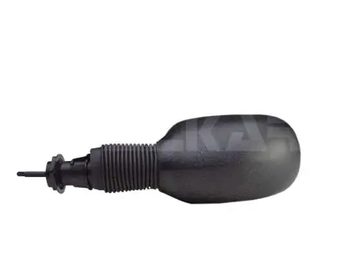 Exterior Mirror (6101382)