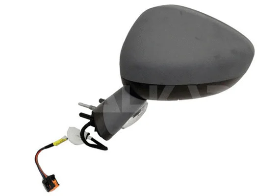 Exterior Mirror (6147868)